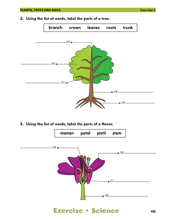 100 Tests Grade 3 Workbook: Math, Language, Social Studies, Science By Canadian Curriculum Press Chock full of curriculum-based exercises and activities, the 100 Tests Grade Three workbook is designed to test your child’s knowledge and verify which concepts she or he understands, and which need more practice.