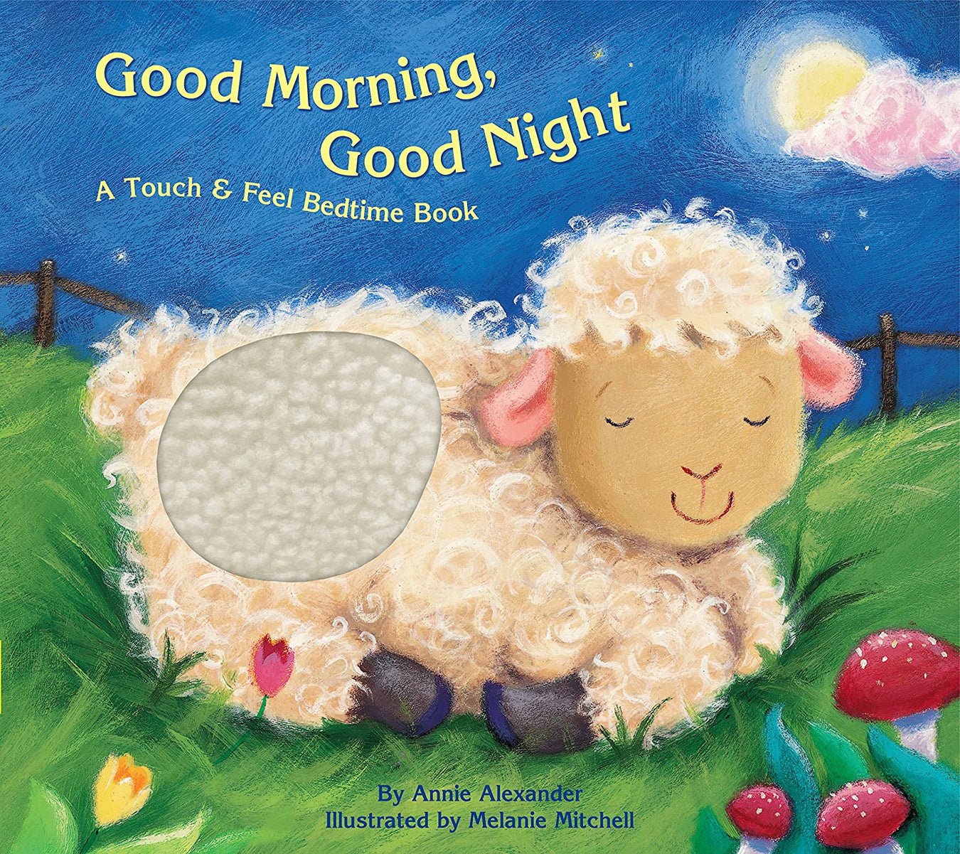 Board Books