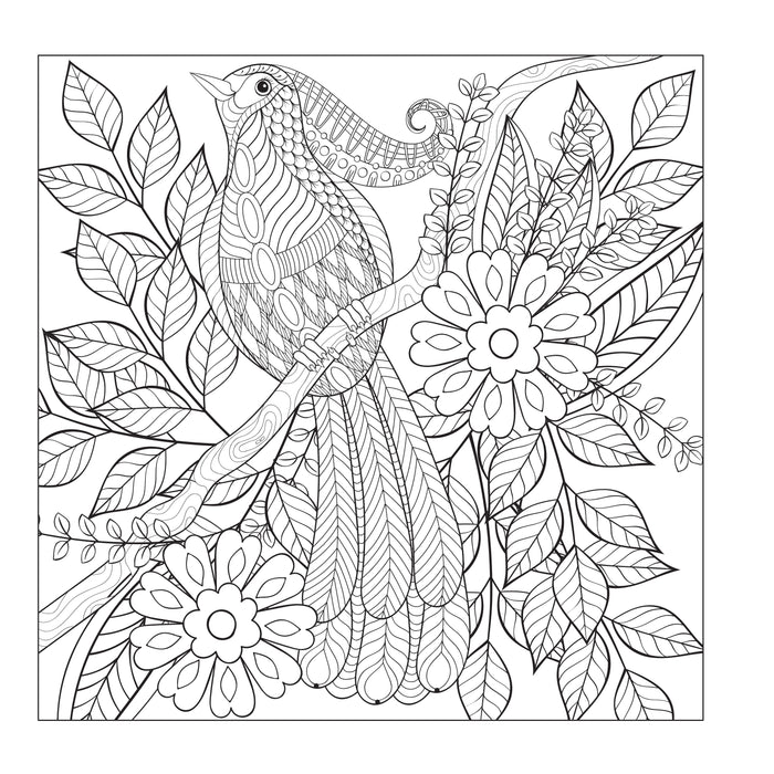A serene seascape illustration from The Colours of the Islands Adult Colouring Book.