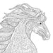 Inside page of The Colours of Fantasy Adult Colouring Book, featuring a complex line art design for creative colouring and relaxation.